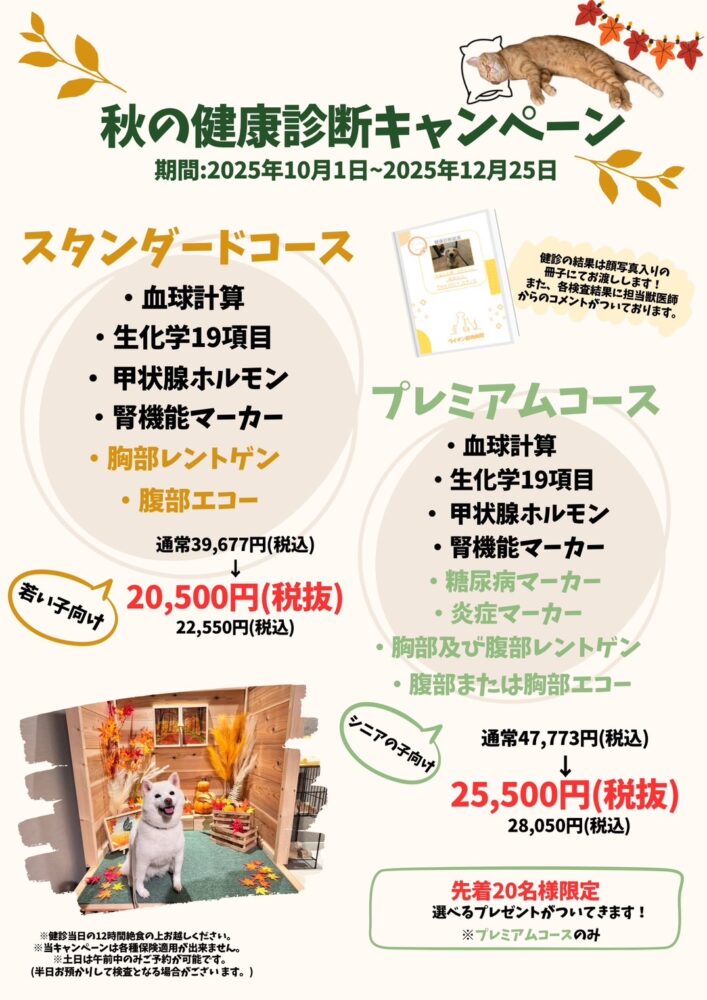 画像に alt 属性が指定されていません。ファイル名: image1-707x1000.jpeg